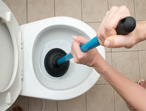 Como Desentupir Vaso Sanitário em Limeira